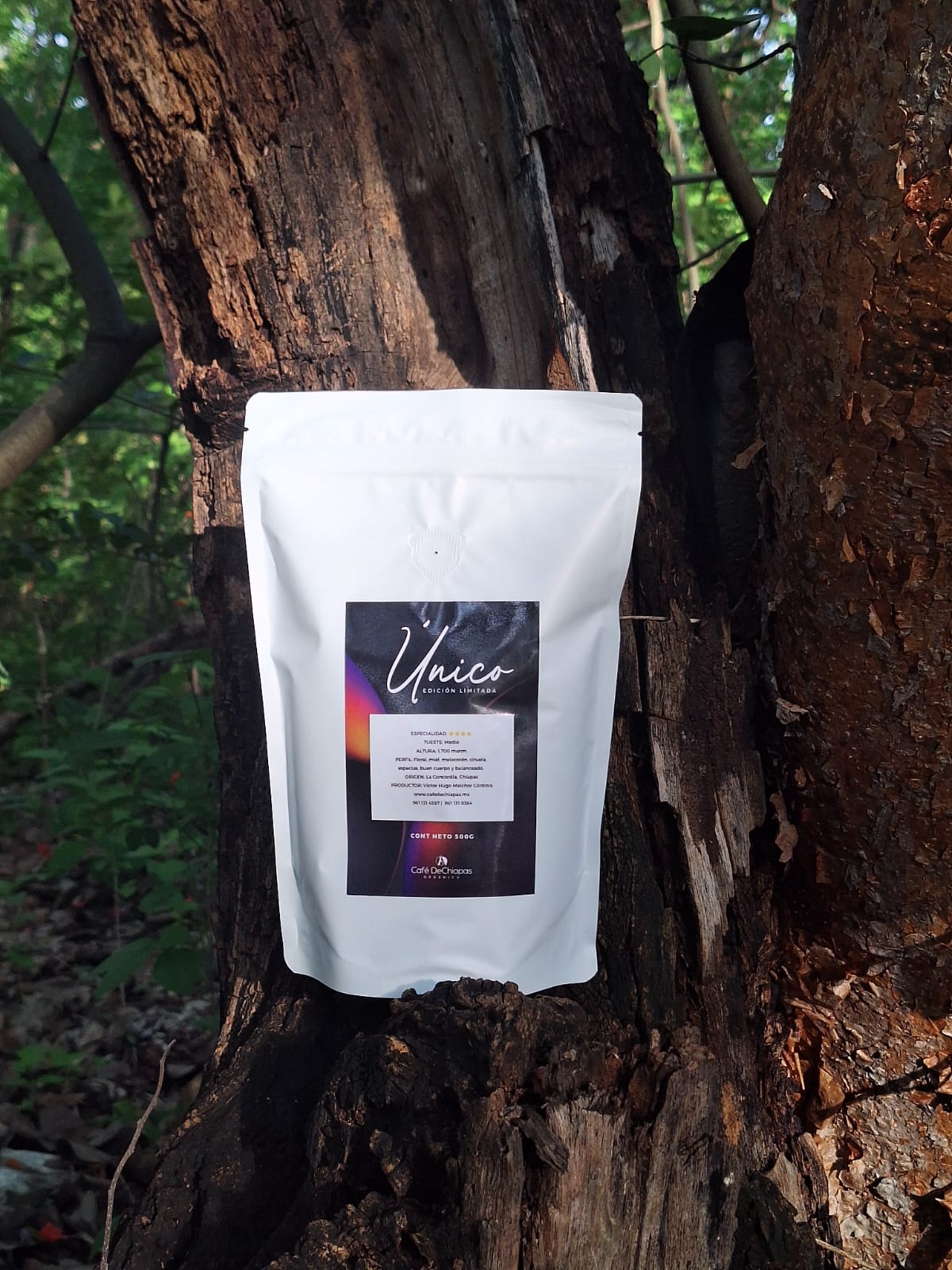 Café único 500 gramos